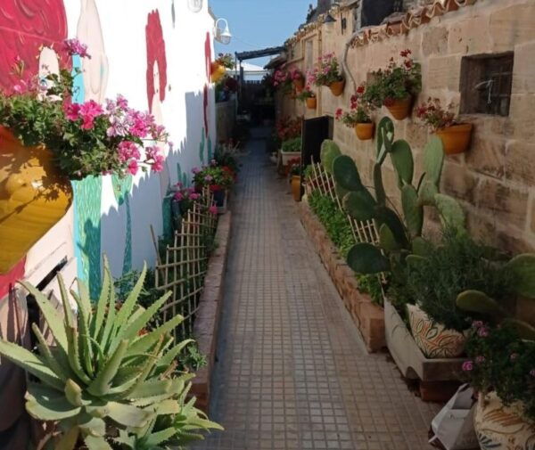 Marzamemi and Portopalo Private Tour - The Sum Up