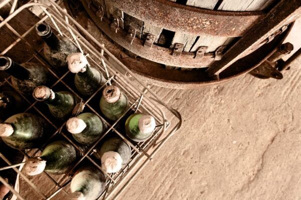 Marzamemi: Dioniso Wine Tour, Tasting & Typical Dishes - Guided Tour Highlights