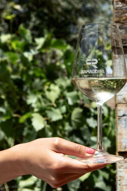 Marzamemi: FR Lovers Wine Tasting & Tour at Ramaddini - Guided Tour and Highlights