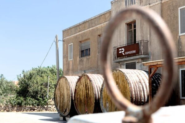 Marzamemi: FR Lovers Wine Tasting & Tour at Ramaddini - Unique Aspects of the Winery