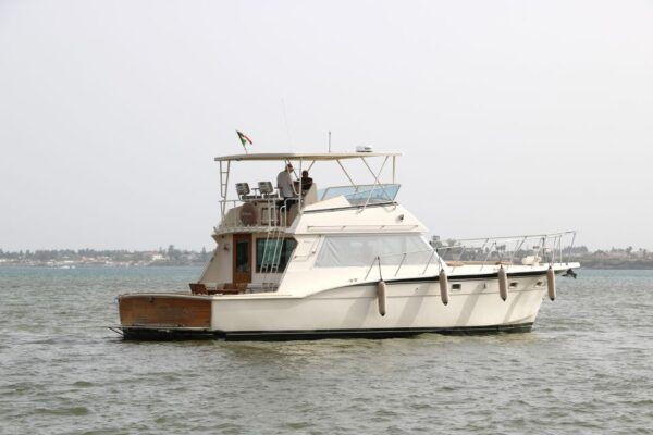 Marzamemi: Half-Day Boat Tour - Booking Options