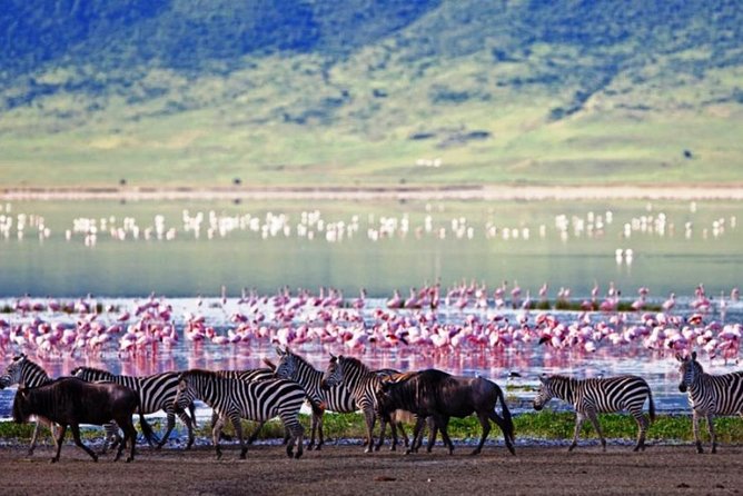 Masai Mara Game Reserve Safari Tour, 4 Days 3 Nights - Itinerary Highlights