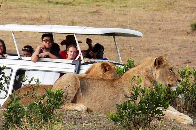 Masai Mara Game Reserve Safari Tour, 4 Days 3 Nights - Packing Essentials