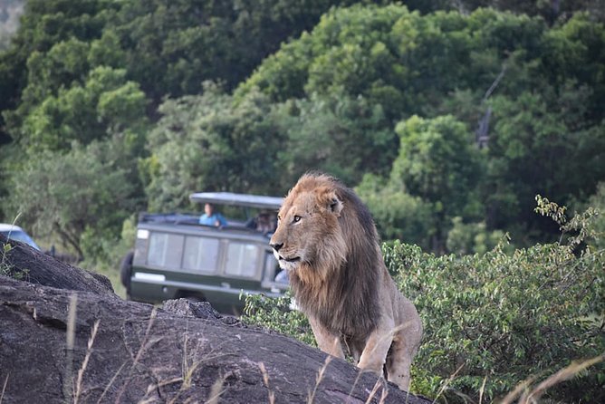 Masai Mara Safari - Cancellation Policy