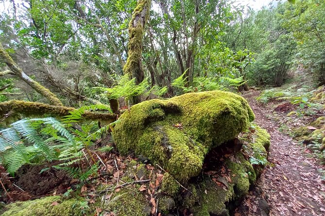 Masca From Above - Cancellation Policy and Additional Info