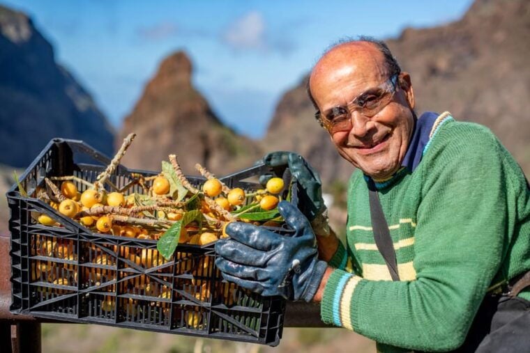 Masca - Garachico - Teide Discovery Walks - Important Information