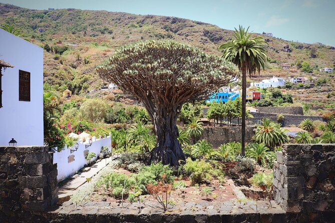 Mask - Garachico - Icod - Teide National Park - Reviews and Ratings
