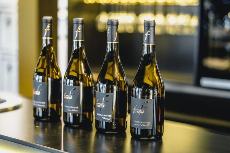 Mason: Visit and Tasting of the Estates Wines - Location and Estate Background
