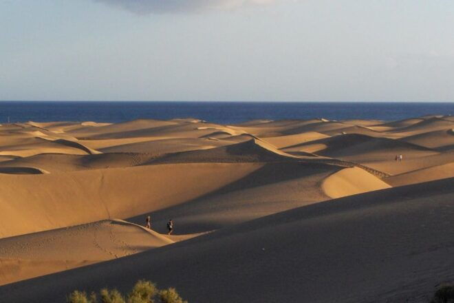 Maspalomas: 1 Hour Segway Sightseeing Tour - Experience Description