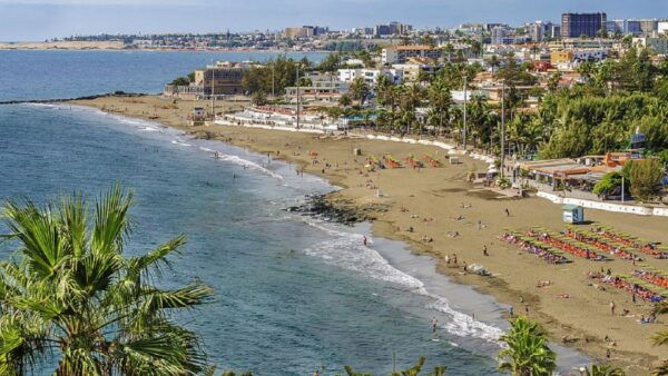 Maspalomas: 1 Hour Segway Sightseeing Tour - Group Size and Restrictions