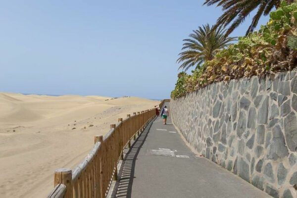 Maspalomas: 1 Hour Segway Sightseeing Tour - Frequently Asked Questions