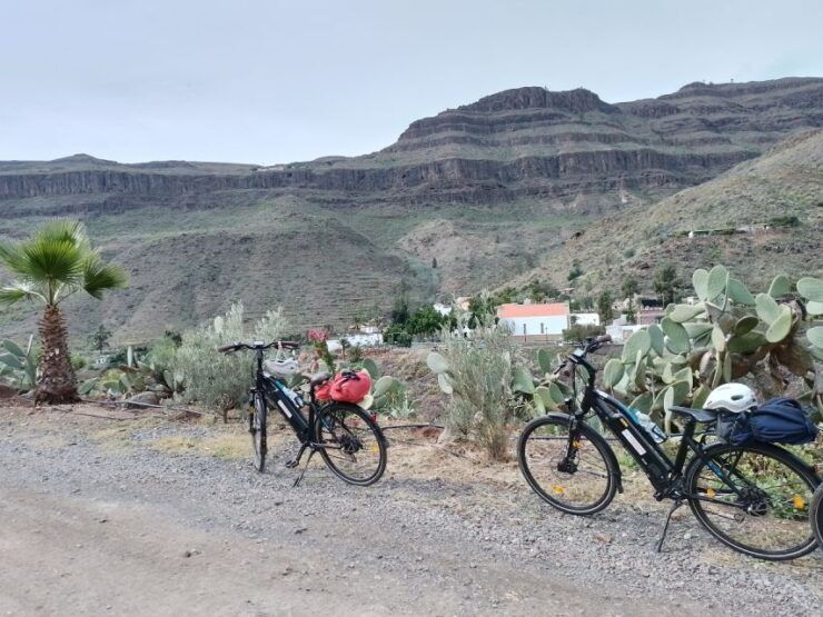 Maspalomas: Ayagaures Hills E-Bike Tour With Optional Tapas - Experience Highlights