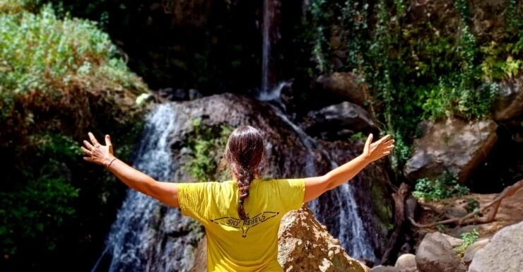 Maspalomas: Barranco De Los Cernicalos Rainforest Hike - Itinerary and Experience