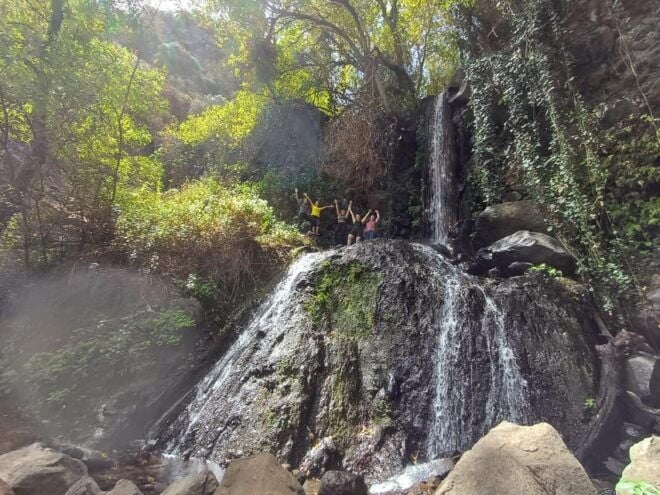 Maspalomas: Barranco De Los Cernicalos Rainforest Hike - Safety and Restrictions