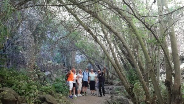 Maspalomas: Barranco De Los Cernicalos Rainforest Hike - Hiking Distance and Elevation