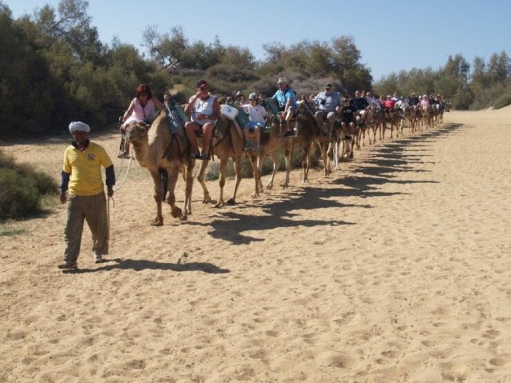 Maspalomas: E-Bike Tour With Camel Ride - Activity Details