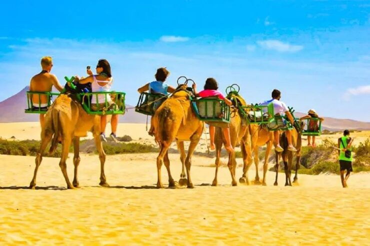 Maspalomas: E-Bike Tour With Camel Ride - Experience Highlights