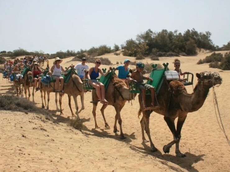 Maspalomas: Guided Camel Ride in the Maspalomas Sand Dunes - Activity Details