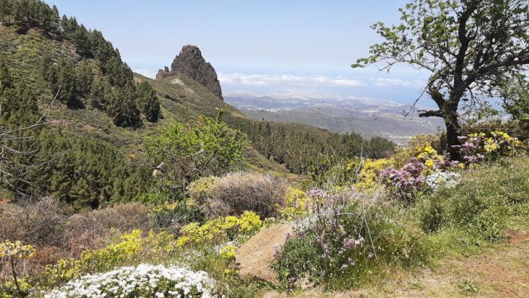 Maspalomas: Hiking to Roque Nublo With 2 Authorized Guides - Experience and Guides