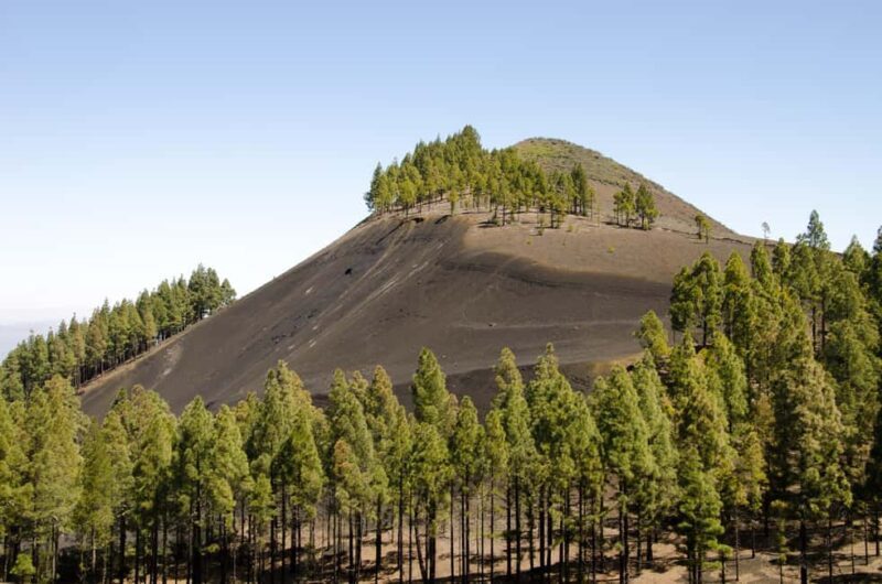 Maspalomas & Las Palmas: Artenara, Tamadaba & cider tasting - Authentic Experiences & Highlights