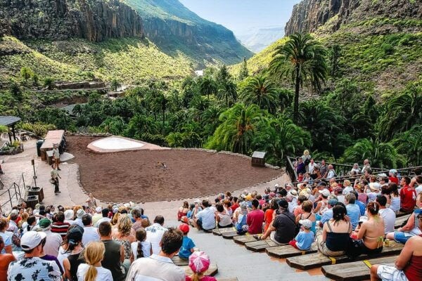 Maspalomas: Palmitos Park Ticket With Dolphin and Bird Shows - Customer Reviews