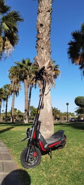Maspalomas & Playa del Ingles: Guided Electric Segway Tour - The Vehicles & Safety