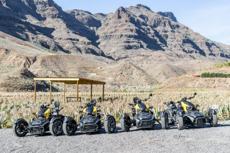 Maspalomas: Ryker Moto Tour to Fataga (Mountain Buggy) - Aloe Vera Plantation Visit