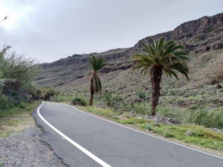 Maspalomas: Southern Coast E-Bike Tour Option Tapas Tasting - Tour Overview