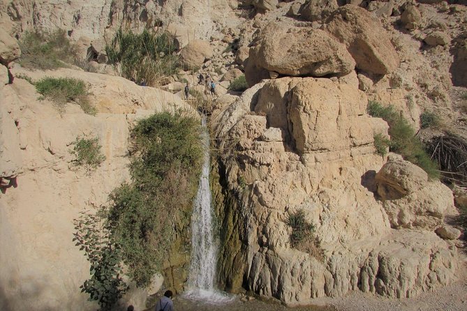Massada & Dead Sea Full Day Tour Private - Availability and Cancellation