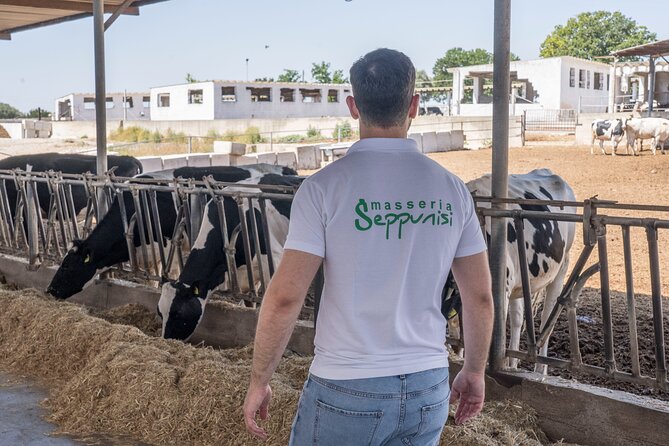 Masseria Seppunisi Tour - Mozzarella and Burrata Experience - Itinerary Overview