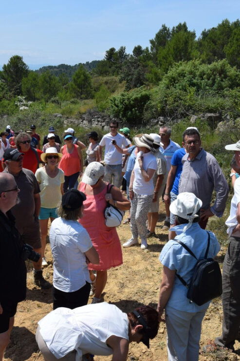 Massmamier La Mignarde: Wine Tasting - Key Points