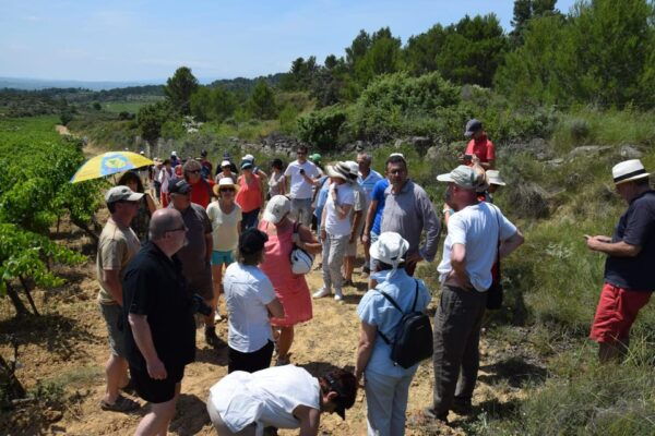 Massmamier La Mignarde: Wine Tasting - Awards and Recognition
