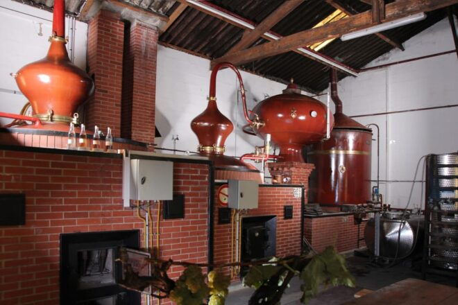 MASTERCLASS COGNAC - Guided Tour Details