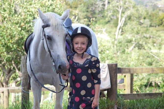 Matakana Art & Horse Riding Experience Private Tour From Auckland - Suitable for All Riding Levels