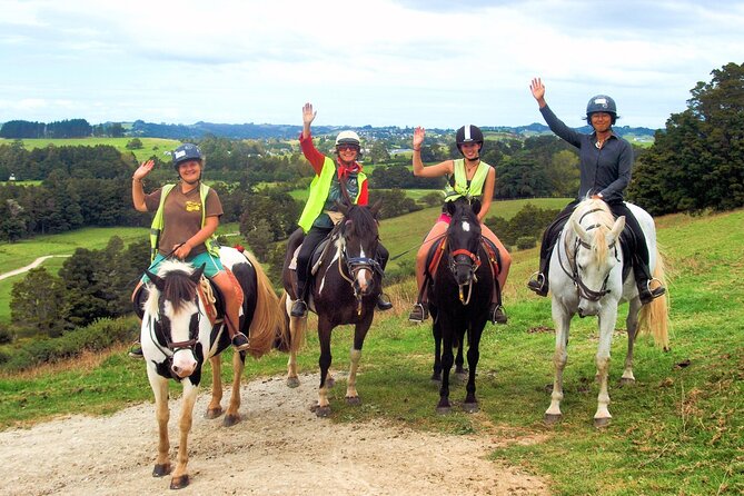Matakana Art & Horse Riding Experience Private Tour From Auckland - Traveler Reviews and Recommendations