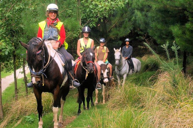 Matakana Art & Horse Riding Experience Private Tour From Auckland - The Sum Up