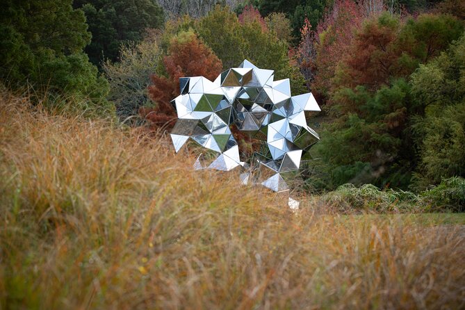 Matakana Art & Vineyard Experience Incl. Lunch & Wine Tasting Tour From Auckland - Age and ID Requirements for Alcohol Consumption