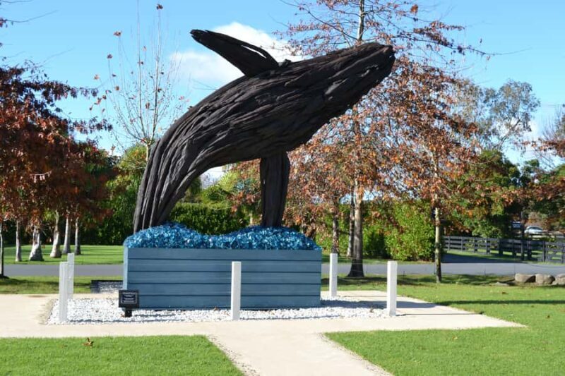 Matakana Art & Wine Village Private Tour - Good To Know