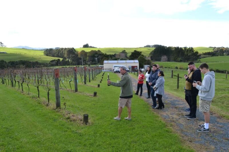 Matakana Art & Wine Village Private Tour - Indulge in Artisanal Chocolates