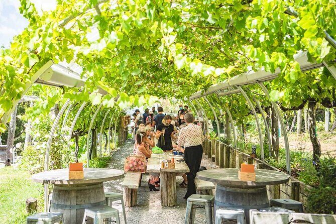 Matakana Explorer Tour - Who Should Consider This Tour?