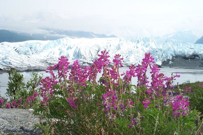 Matanuska Glacier Summer Tour - Glacier Access and Location