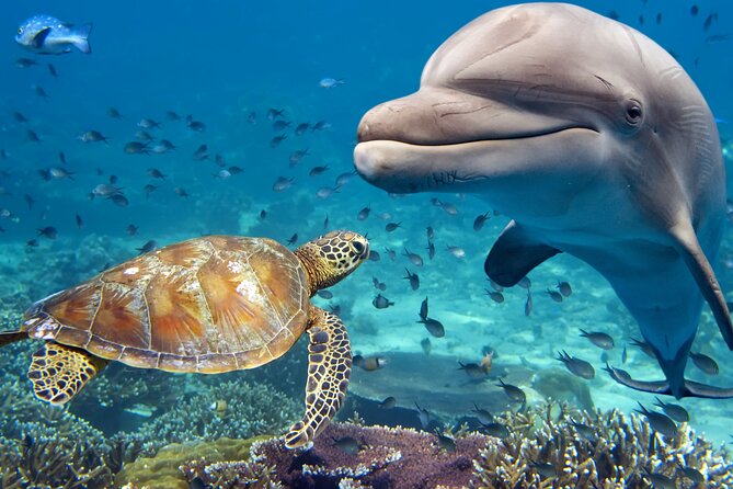 Matanzas River Kayaking and Wildlife Tour From St. Augustine  - St Augustine - Tour Details