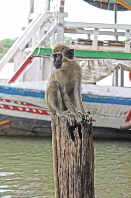 Matara : Discover Adventures at Southernmost Point - Culinary Experience