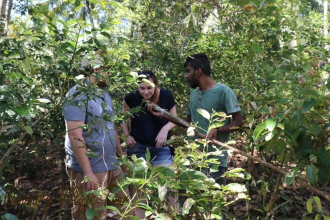 Matara: Visionary Village Tour - Cultural Immersion