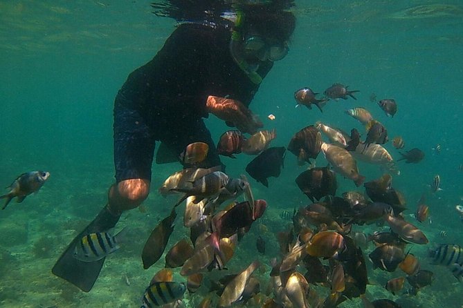 Mataram City and Senggigi 3-Day Snorkel, City Tour, and More  - Lombok - Tour Itinerary Details