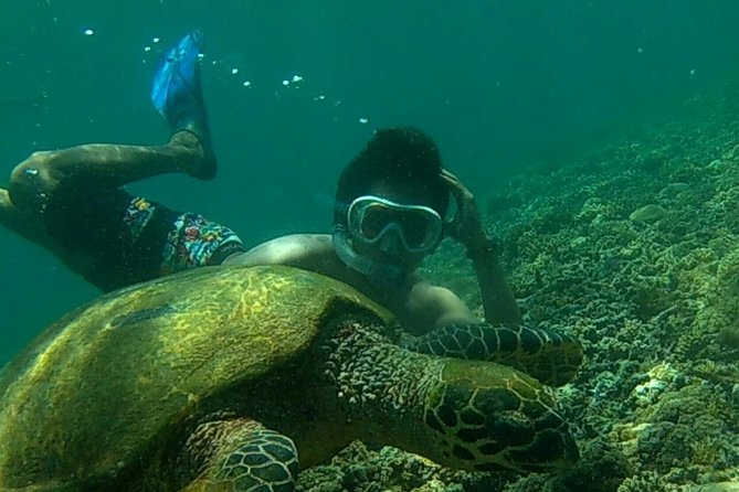 Mataram City and Senggigi 3-Day Snorkel, City Tour, and More  - Lombok - Customer Reviews and Ratings
