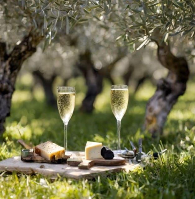 Matera: Aperitif Truffles and Champagne Under the Olive Tree - A Culinary Journey: Truffles and Local Delicacies