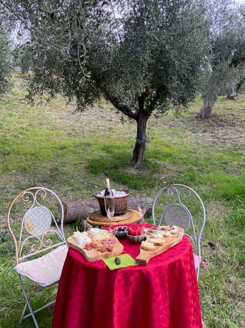 Matera: Aperitif Truffles and Champagne Under the Olive Tree - A Sensory Experience: Flavors and Aromas