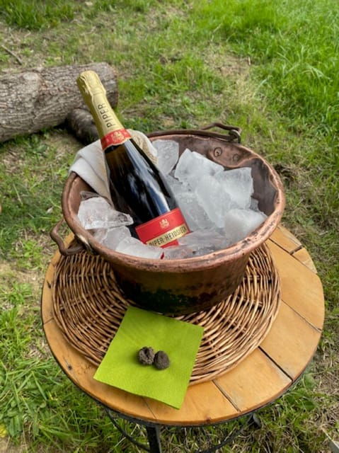 Matera: Aperitif Truffles and Champagne Under the Olive Tree - Frequently Asked Questions