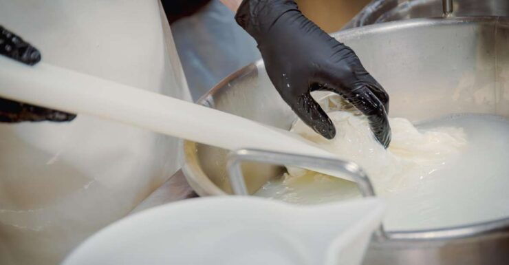 Matera Cheese Making Class: Be a Real Dairy Man for a Day! - Activity Highlights